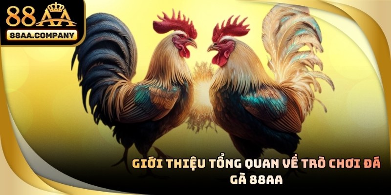 Giới thiệu tổng quan về đá gà 88aa